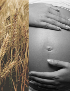 Celiaquía no diagnosticada y su impacto en la salud reproductiva