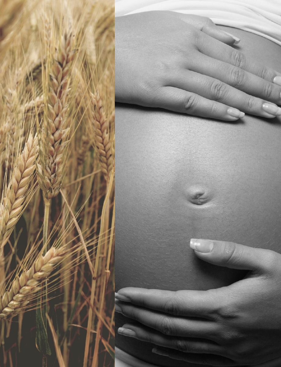 Celiaquía no diagnosticada y su impacto en la salud reproductiva